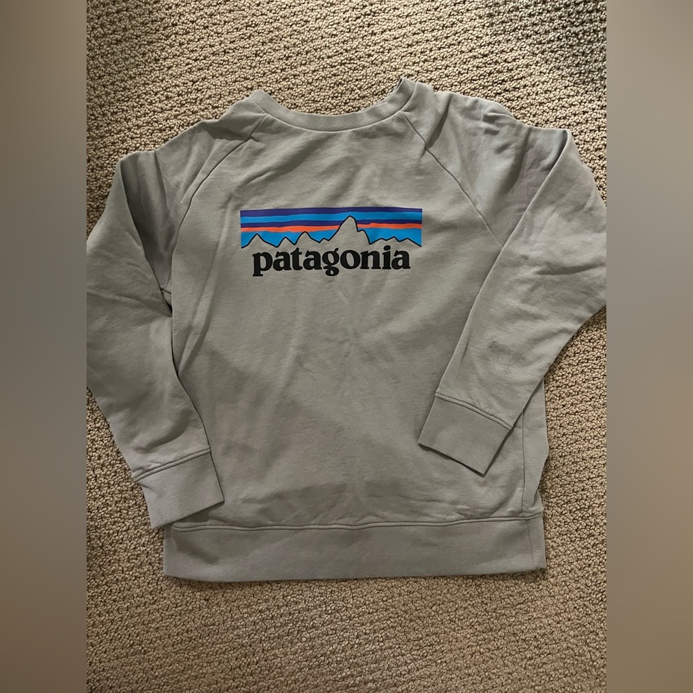 Boys Patagonia Crew Sweatshirt
